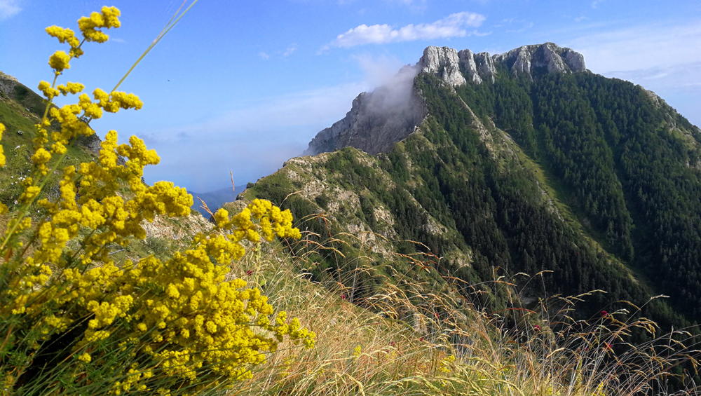 035 monte Toraggio light