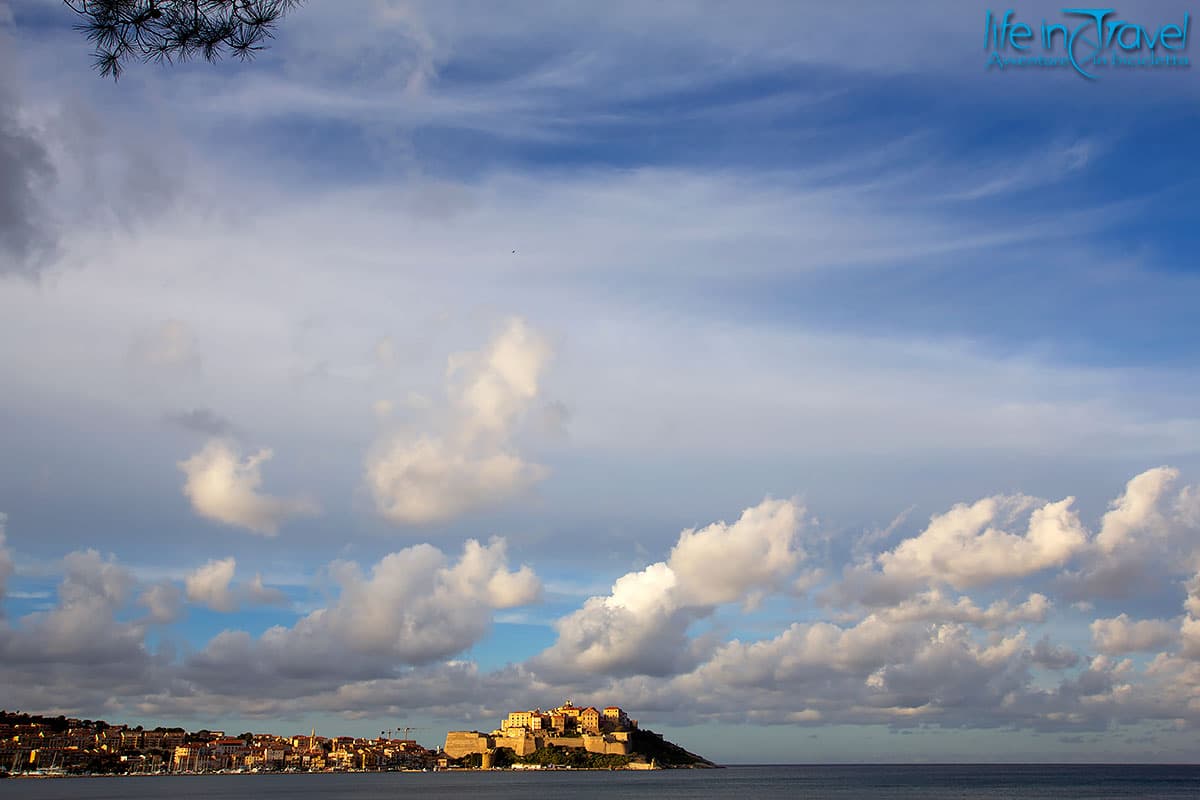calvi in corsica