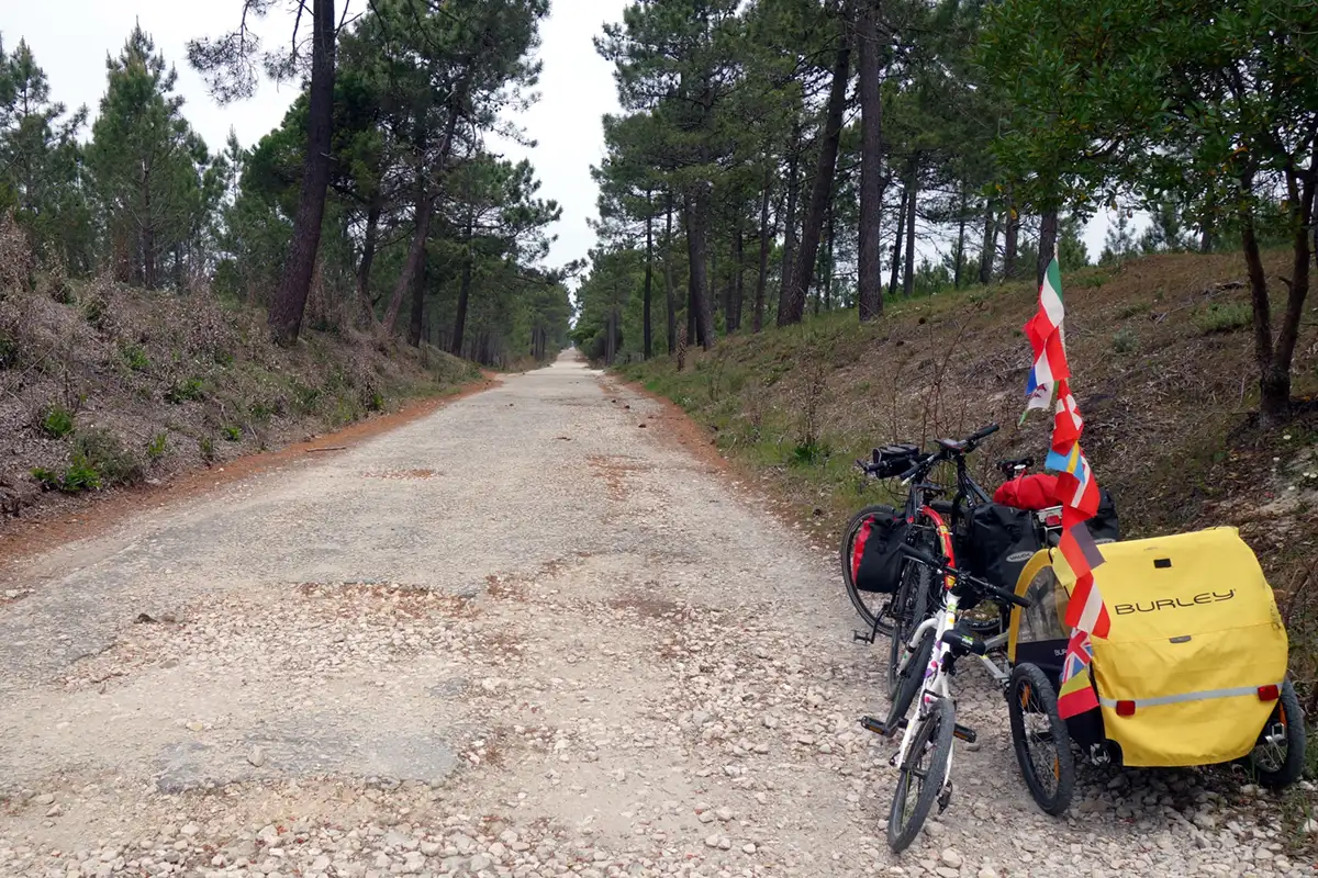 bici con carrello e biciclettina