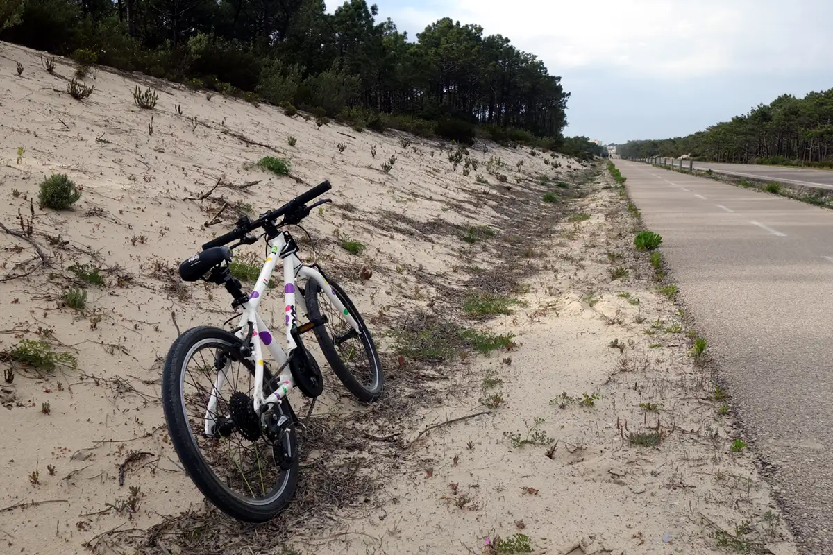 bicicletta da bimba strada