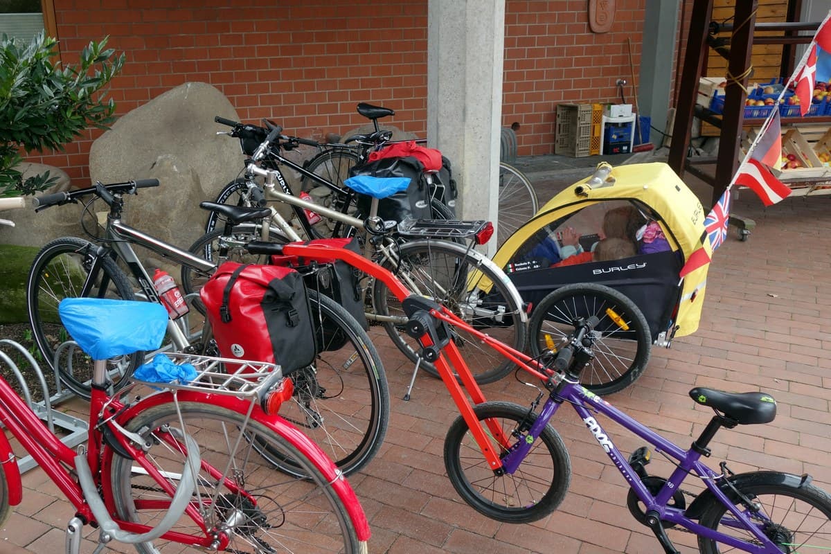 cammellino carrello bimbi