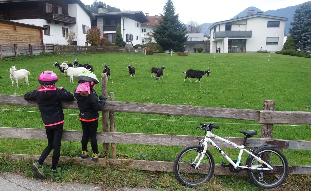 bimbe e caprette