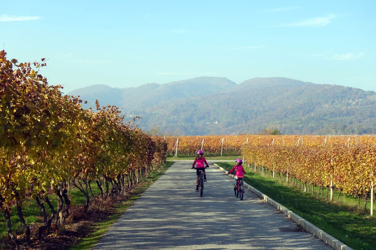 in bici tra i vigneti