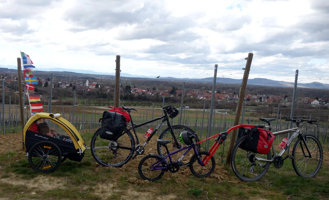 10 bici e carrellinoi