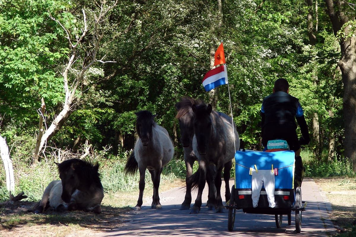 05 viaggiare in bici con il carrellino