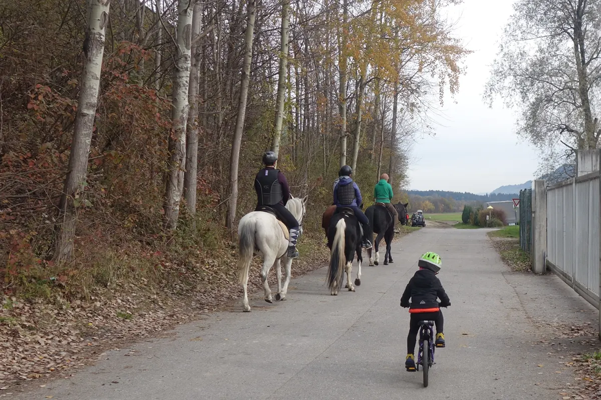 02  viaggi in bici bimbi oltre i 6 anni