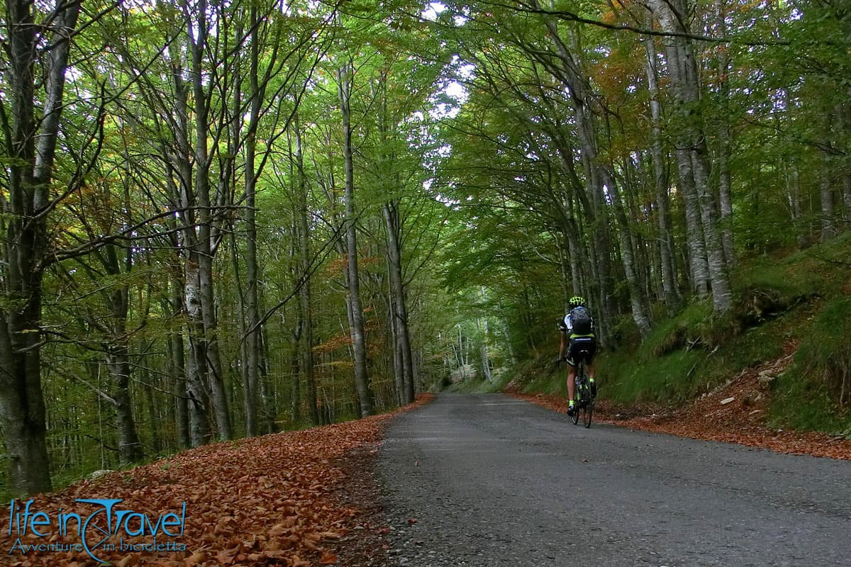 val trebbia val staffora bici da strada