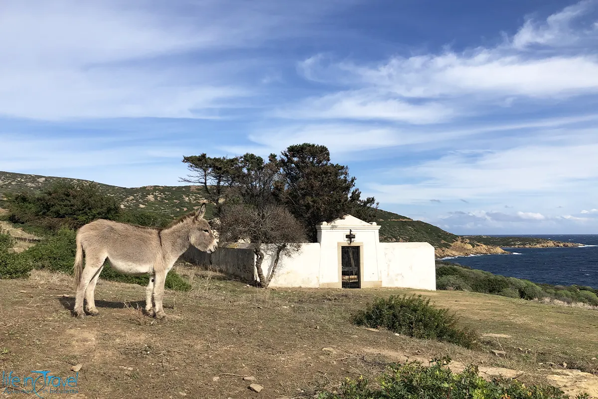 Asinara in bici dir nello