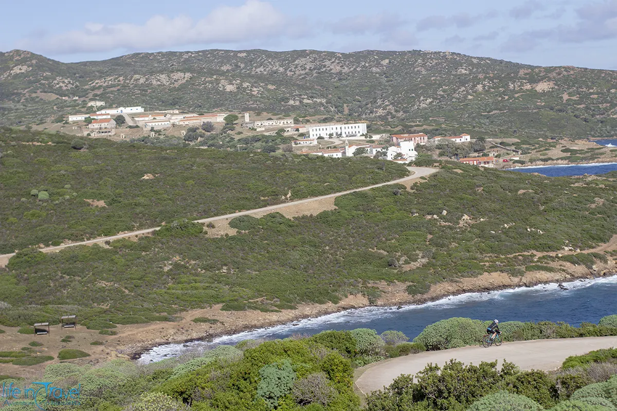 Asinara in bici discesa per oliva
