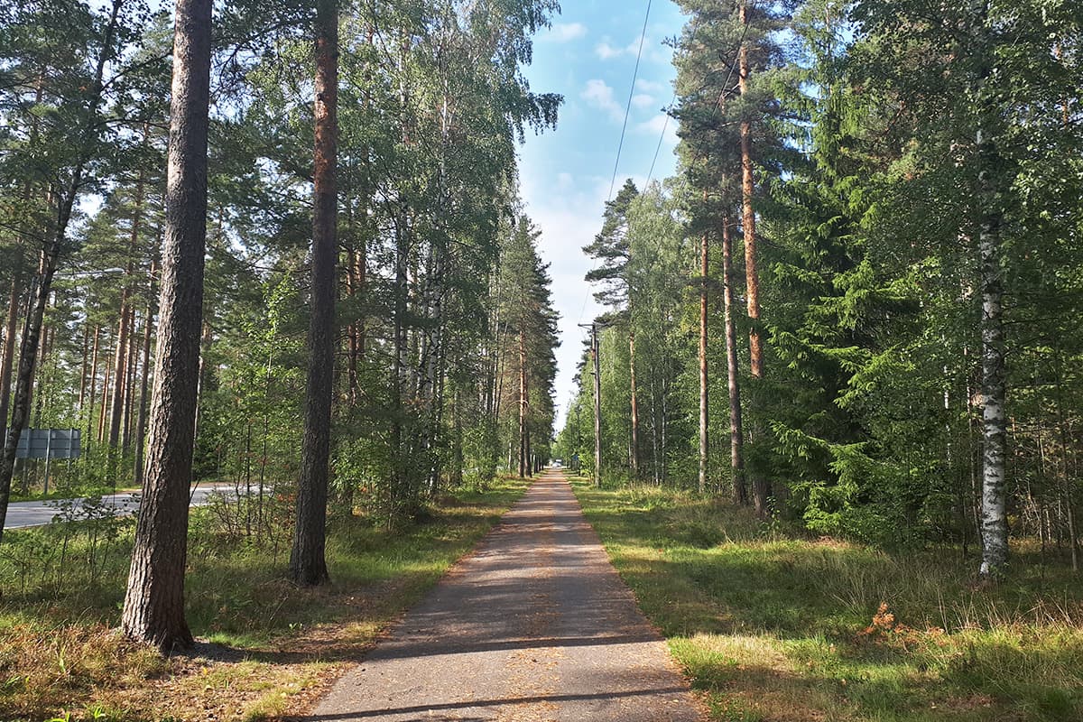 Finlandia in bici ciclabile nel verde