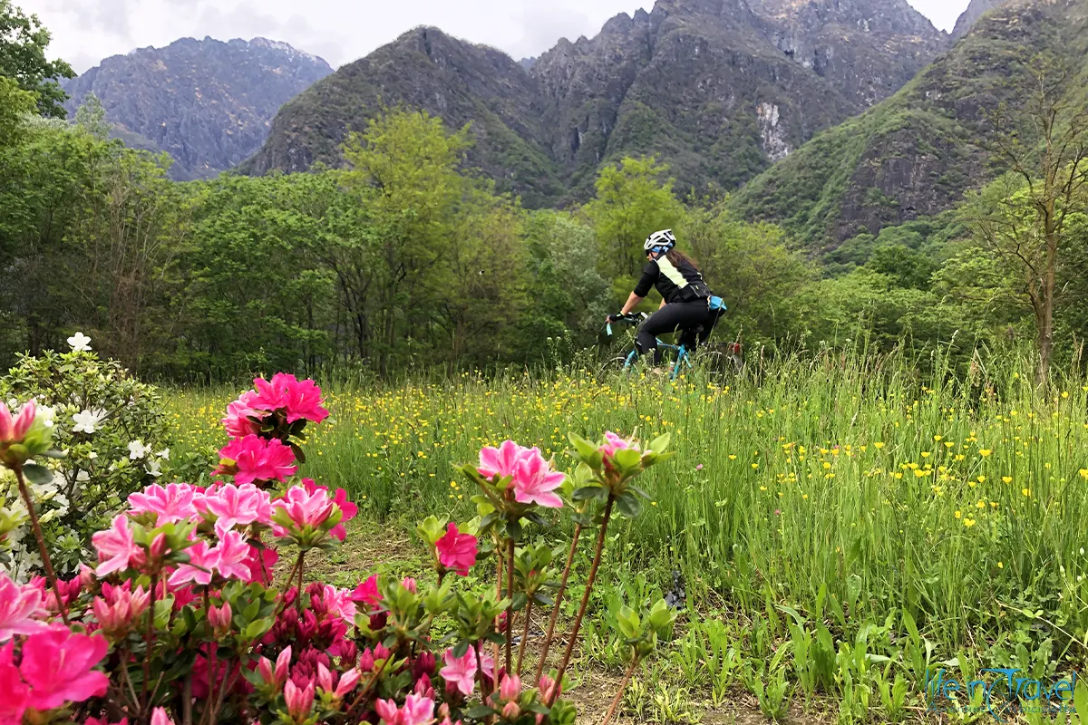 Flowers Loop Majestic17 Lago Maggiore in bicicletta