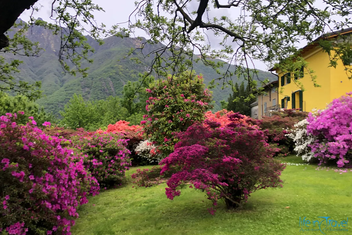 Flowers Loop Majestic18 Lago Maggiore in bicicletta