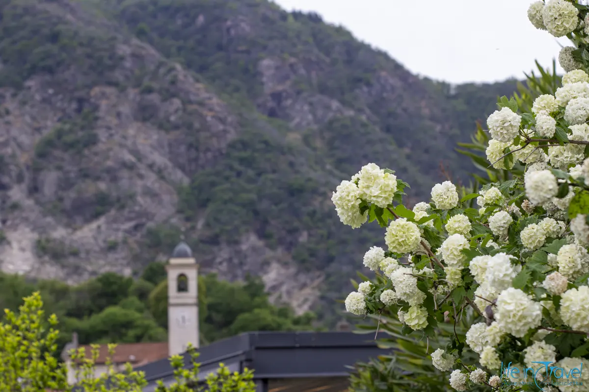 Flowers Loop Majestic7 Lago Maggiore in bicicletta