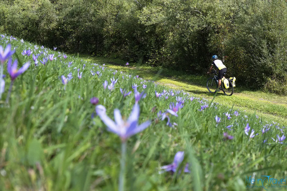 dettaglio cicloturismo Leo givi bike 3