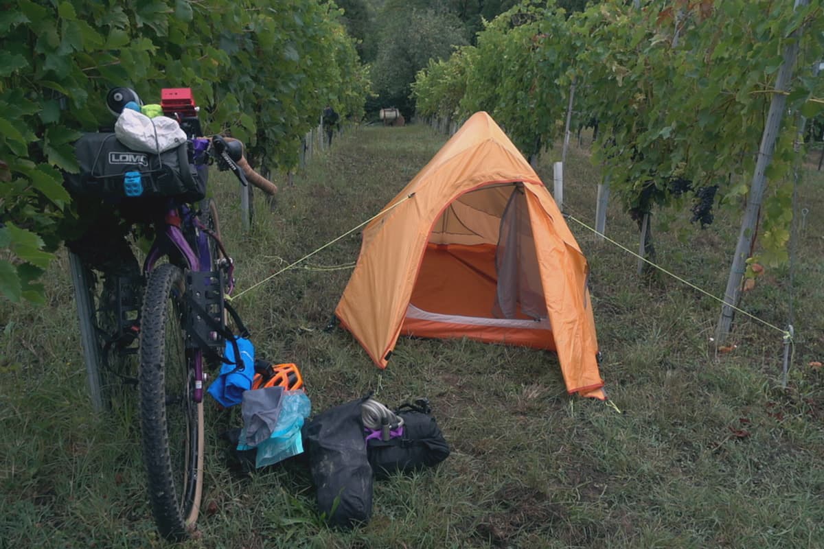 Borsa manubrio bikepacking LOMO vigna