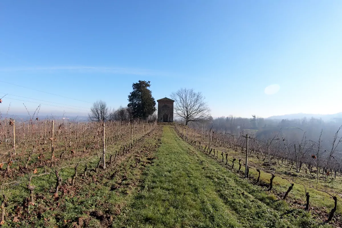 Storia del Piemonte in bici chiesa nel vigneto