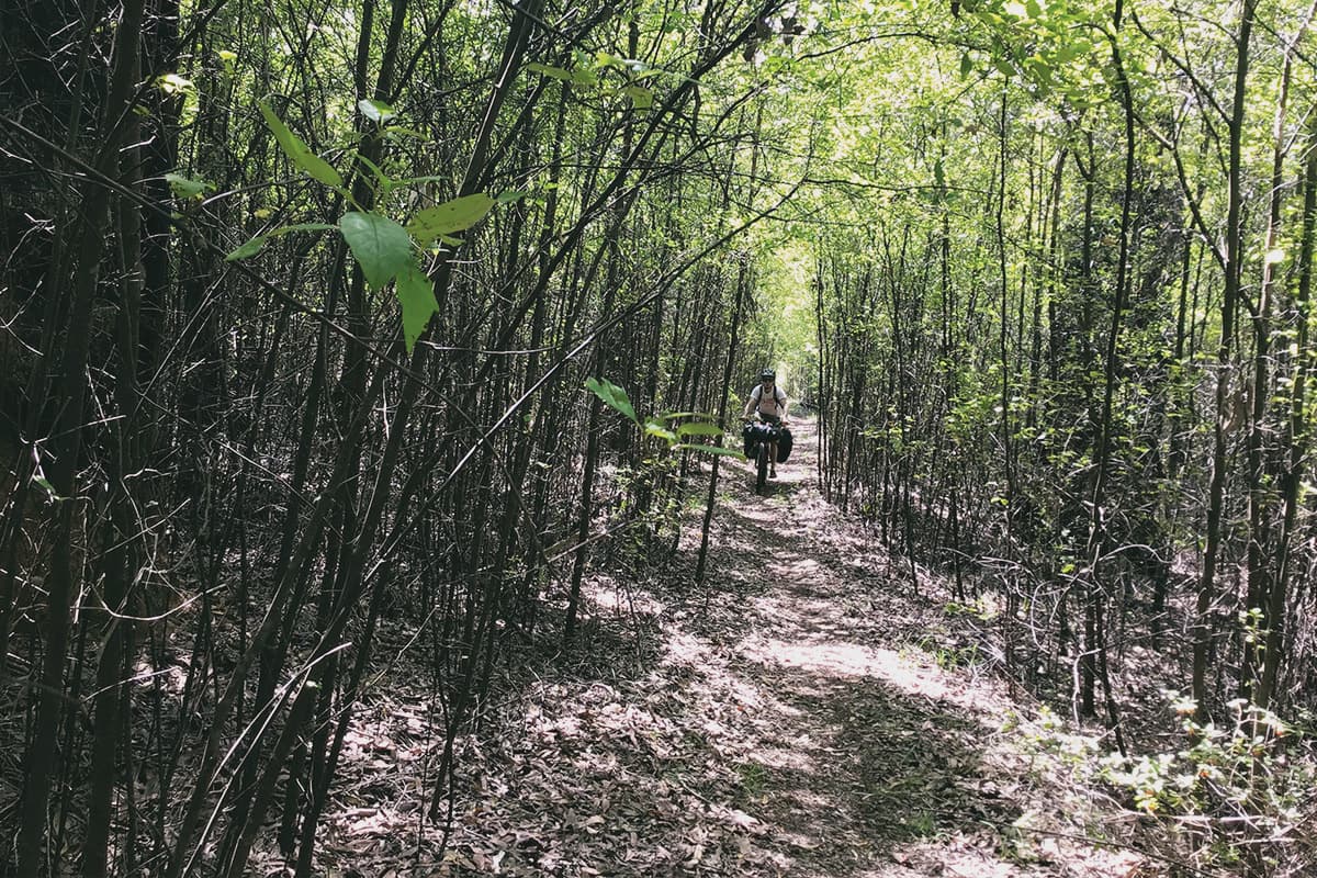 Munda Biddy Bike Trail 12