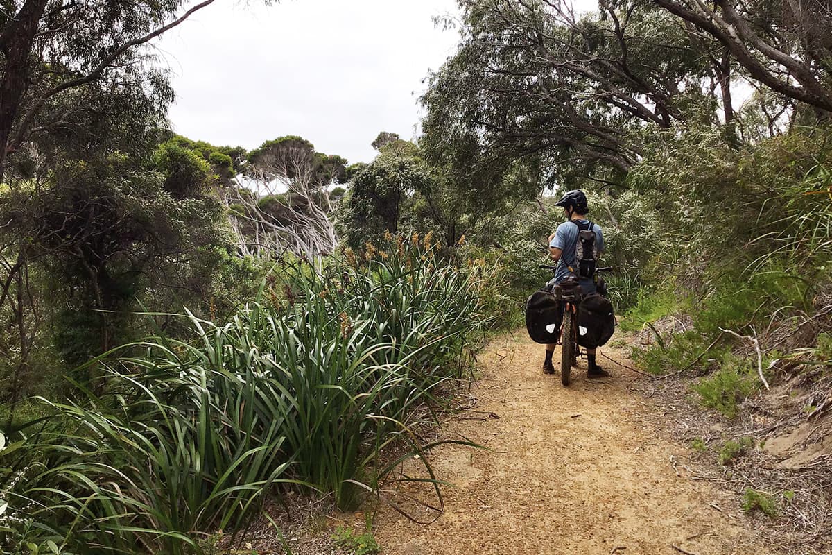 Munda Biddy Bike Trail 5