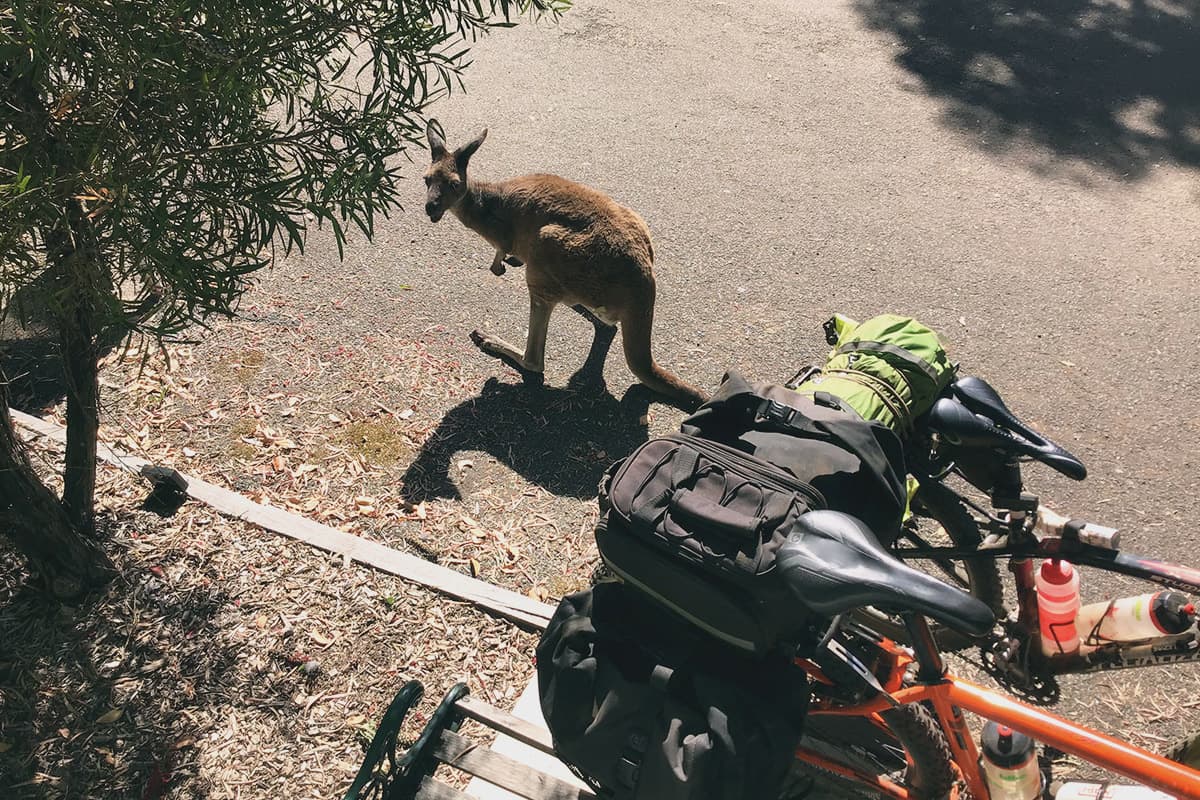 Munda Biddy Bike Trail 9