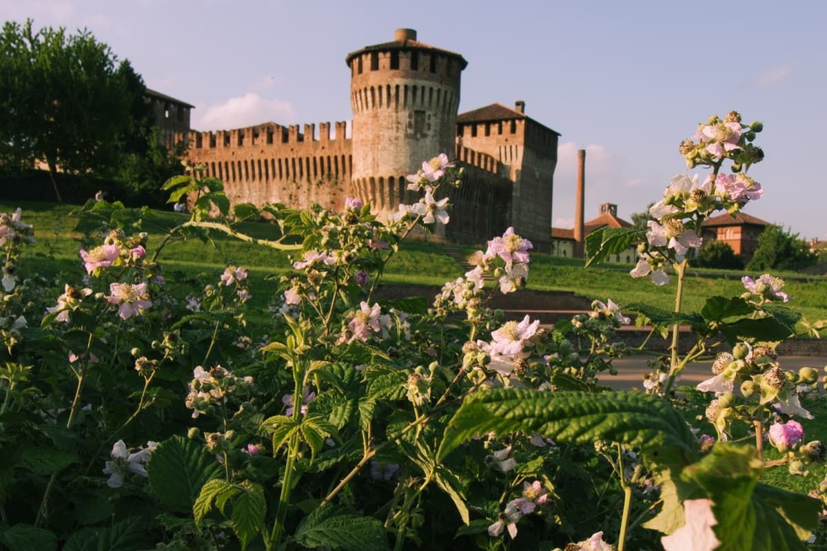 Ciclabile delle Città Murate   Soncino fiori