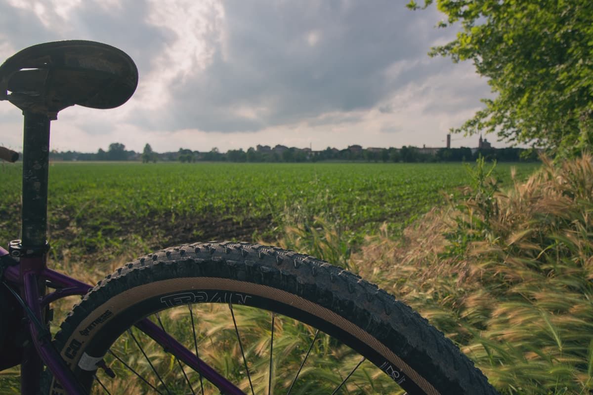 Ciclabile delle Città Murate   Soncino skyline