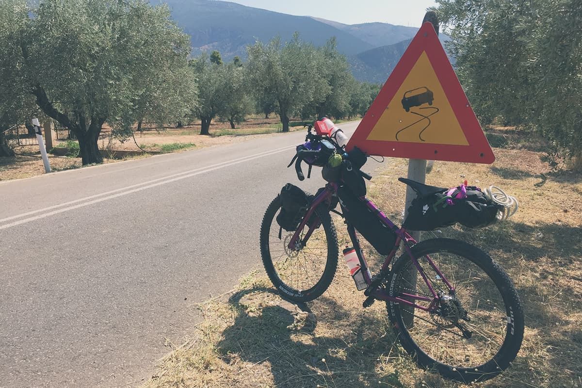 Peloponneso in bicicletta ulivi
