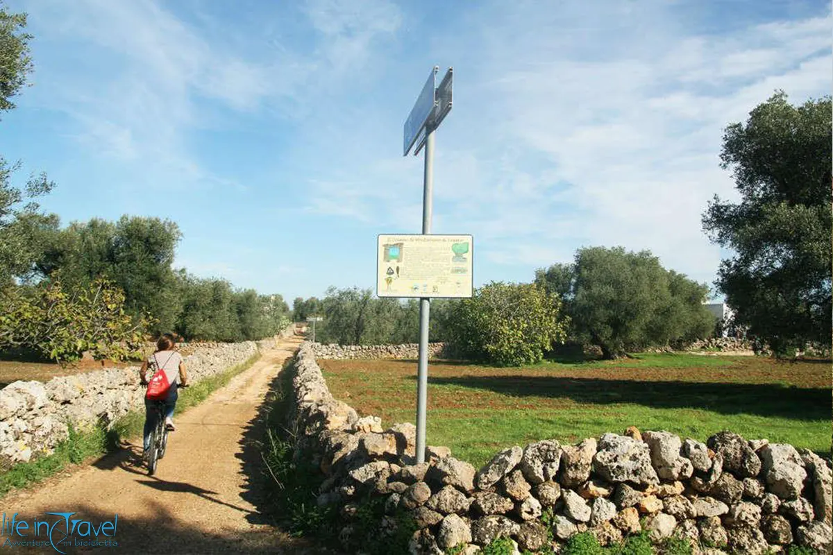 Piste ciclabili per bambini dune costiere