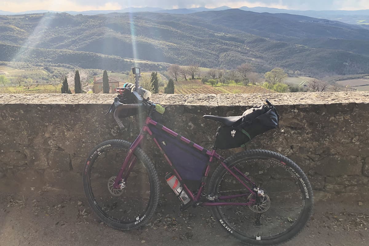 Borsa sottosella bici Cluster 20 di Miss Grape Lacrimuccia Borsa sottosella bici Cluster 20 di Miss Grape Lacrimuccia
