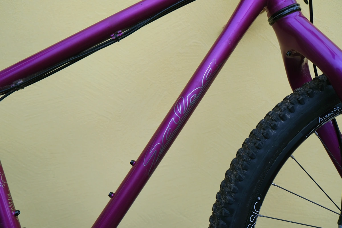 salsa fargo forcella