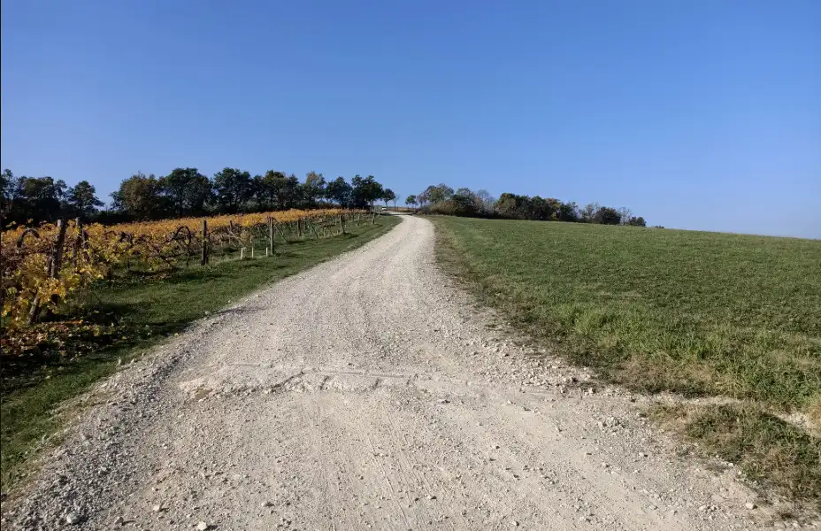 strada bianca
