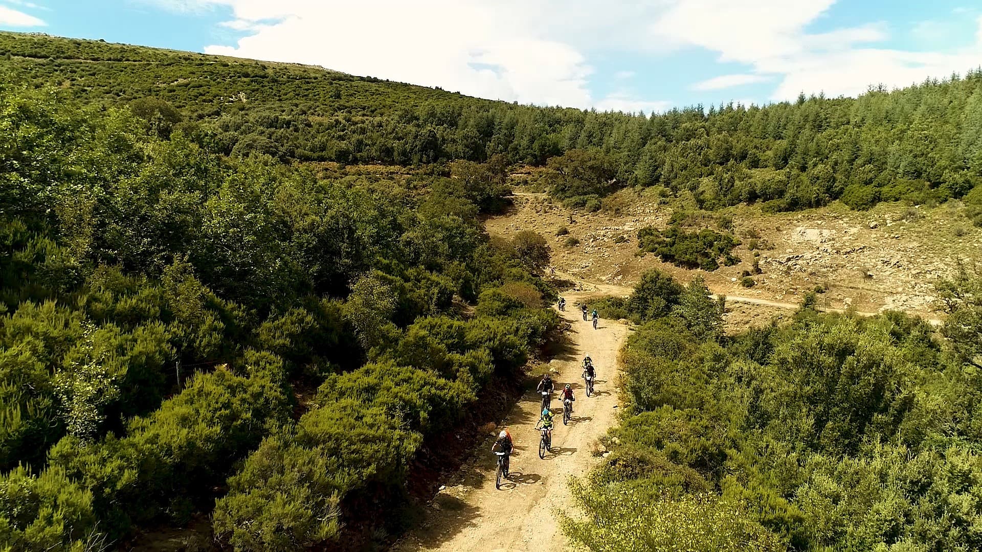 BELVI trail3 (1)