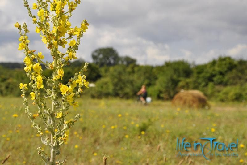 nella natura della via francigena