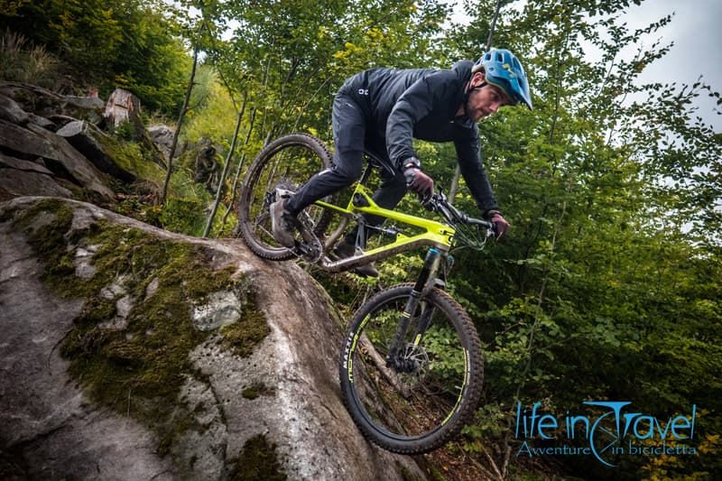 spicy freeride