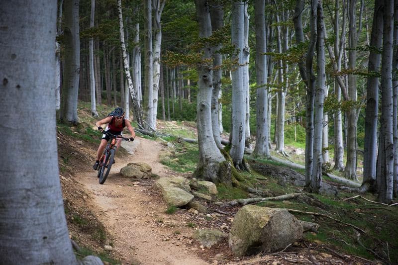 red trail 