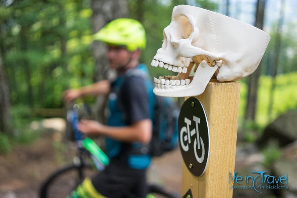 viaggio in mtb
