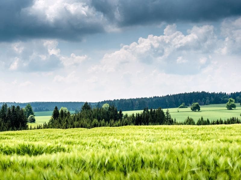 regione di vysocina