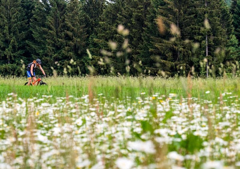 trail vysocina