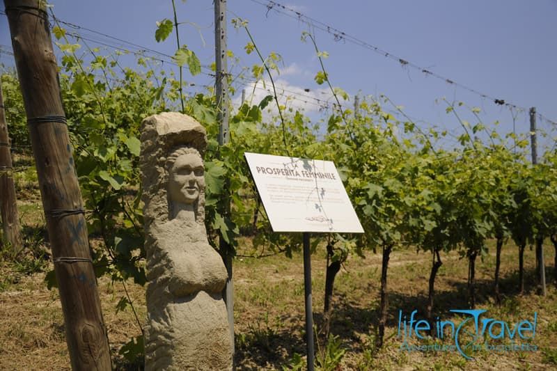 fontana fredda