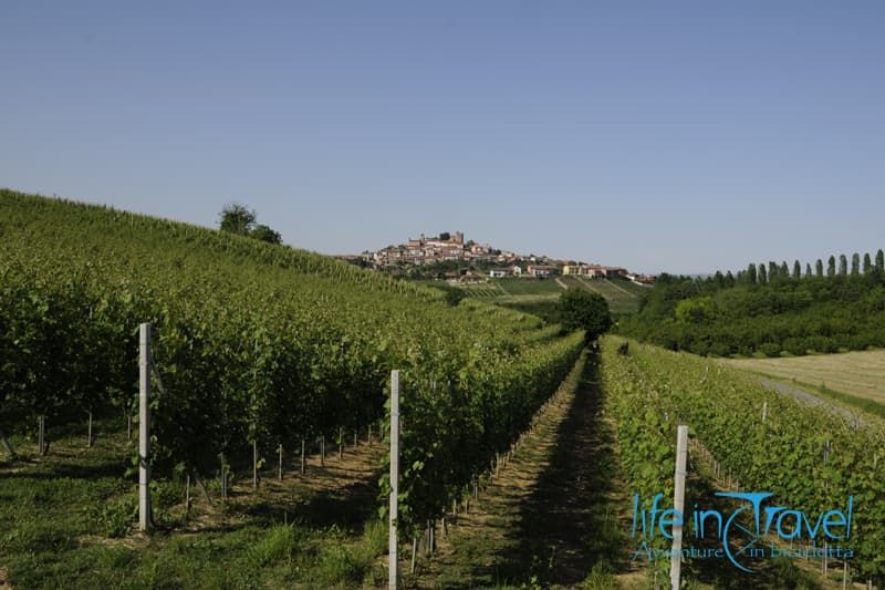 roddi e vigneti