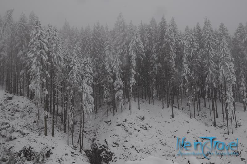neve