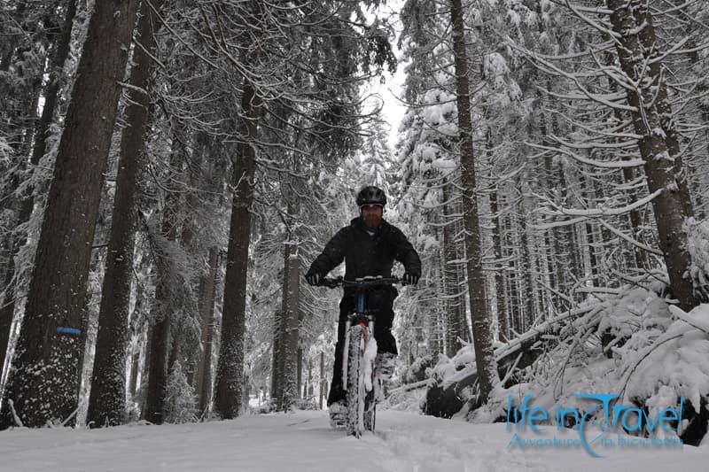 ritorno nella neve