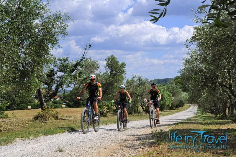avvicinamento al monte arsenti