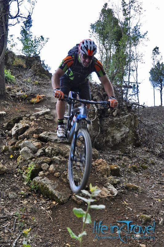 pista benedetto con simone