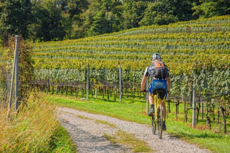 Vigneti in Svizzera