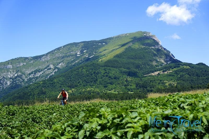 sul monte creino