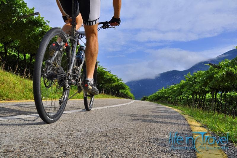 pista ciclabile adige