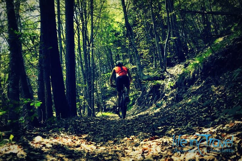 funamboli tour