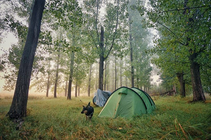 la tenda alla mattina