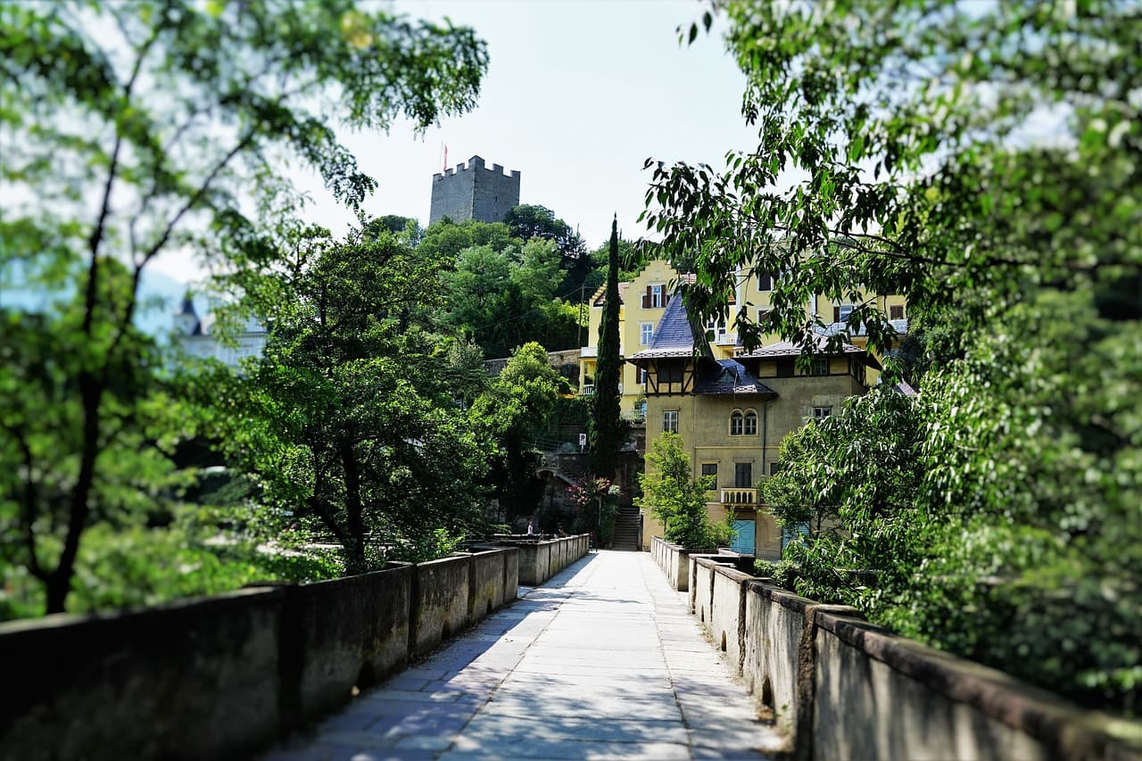 bridge