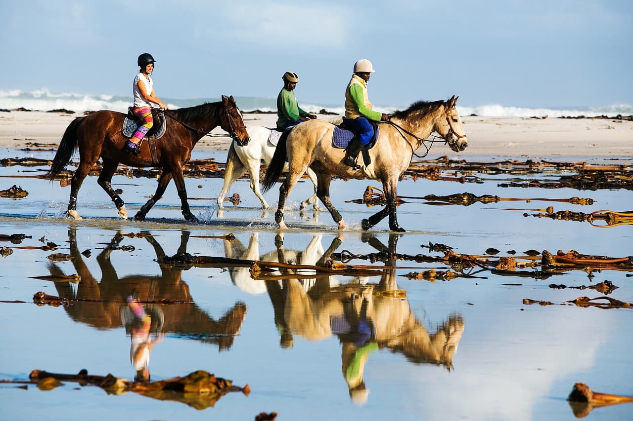 beach ride 